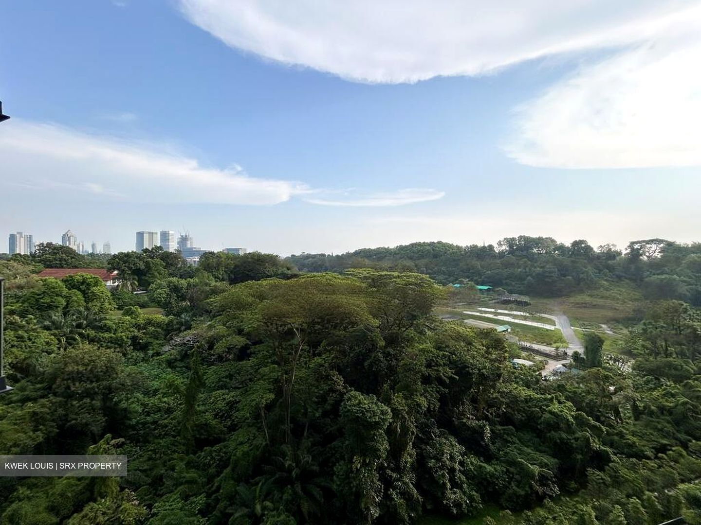 Normanton Park (D5), Apartment #452951561